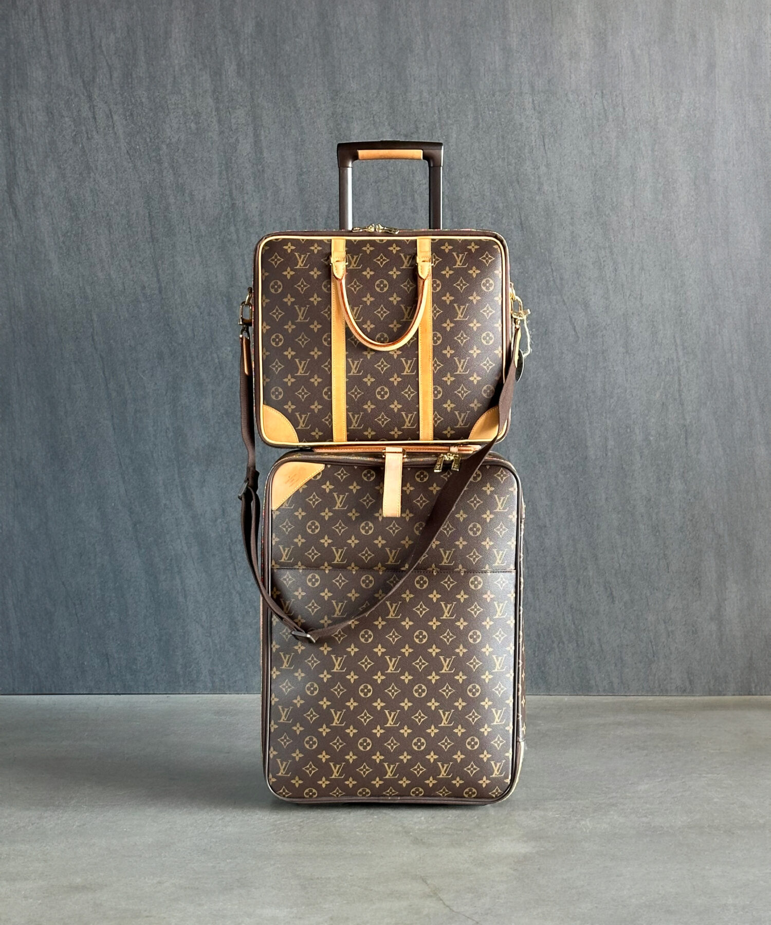 Louis Vuitton Valiz & Evrak Çantası