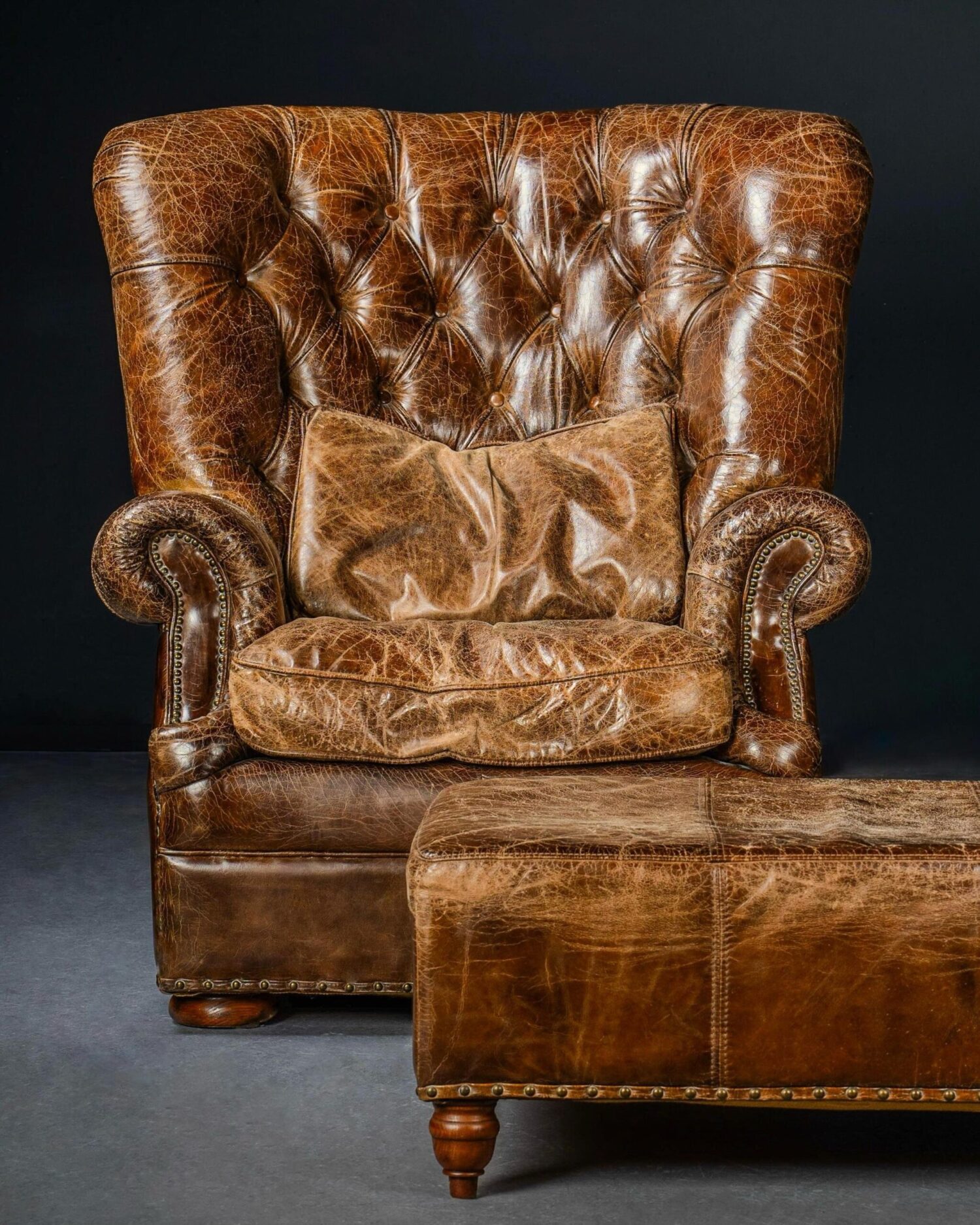 Dev Deri Koltuk - Görsel 1