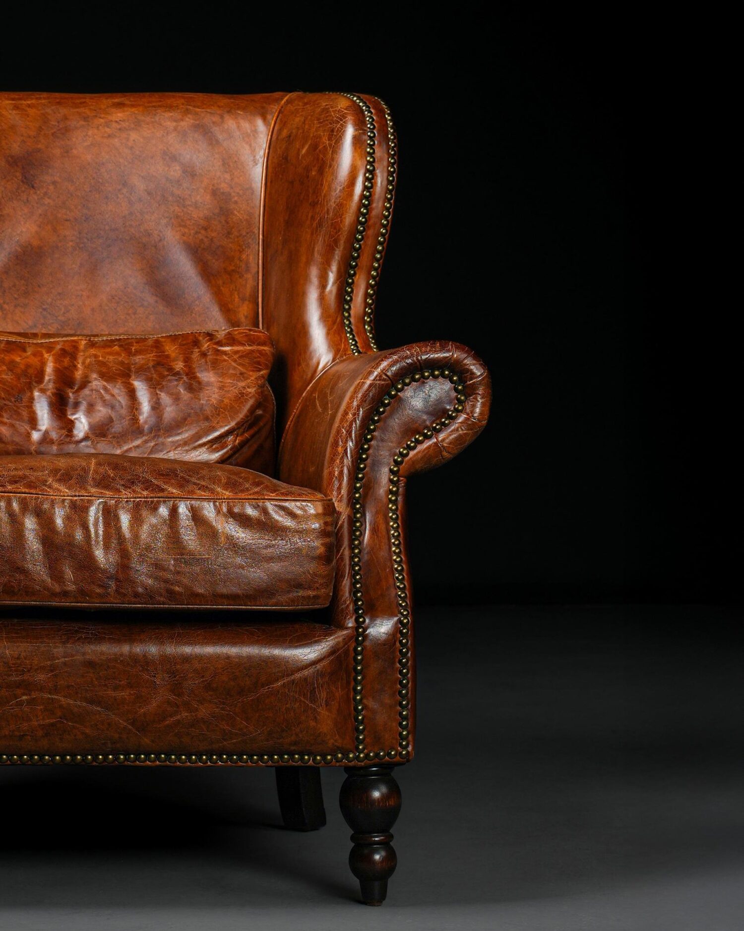 İngiliz Berjer - Görsel 2