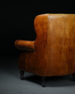 İngiliz Berjer - Görsel 7