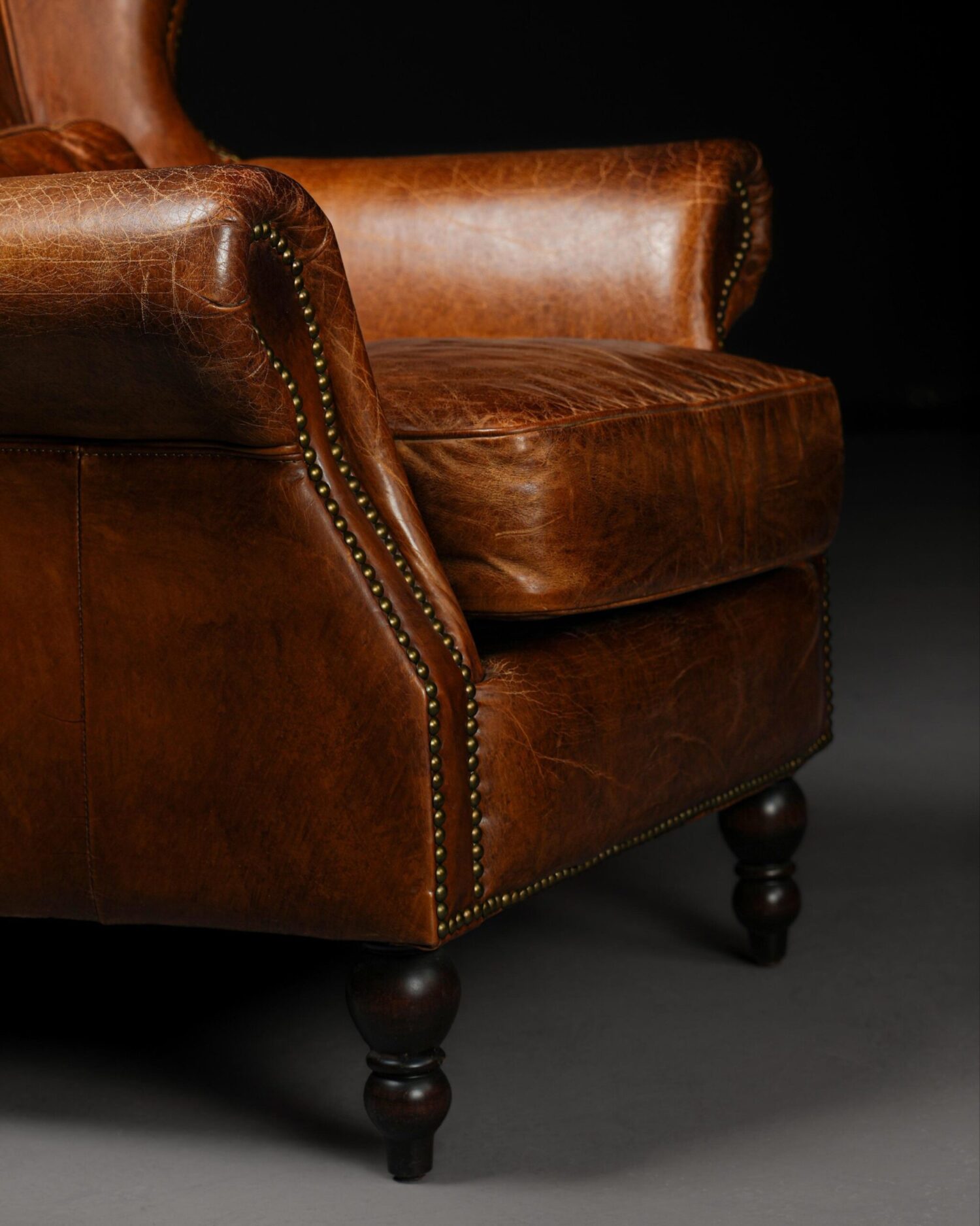 İngiliz Berjer - Görsel 5