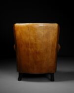 İngiliz Berjer - Görsel 6