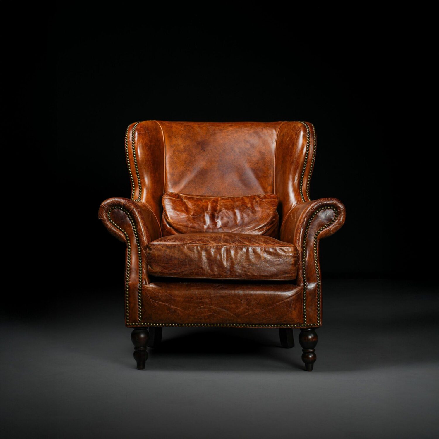 İngiliz Berjer - Görsel 1