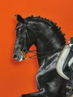 Atlı Tablolar - Görsel 3