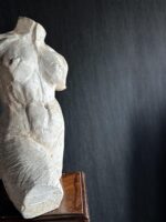 Kadın Tors - Görsel 2