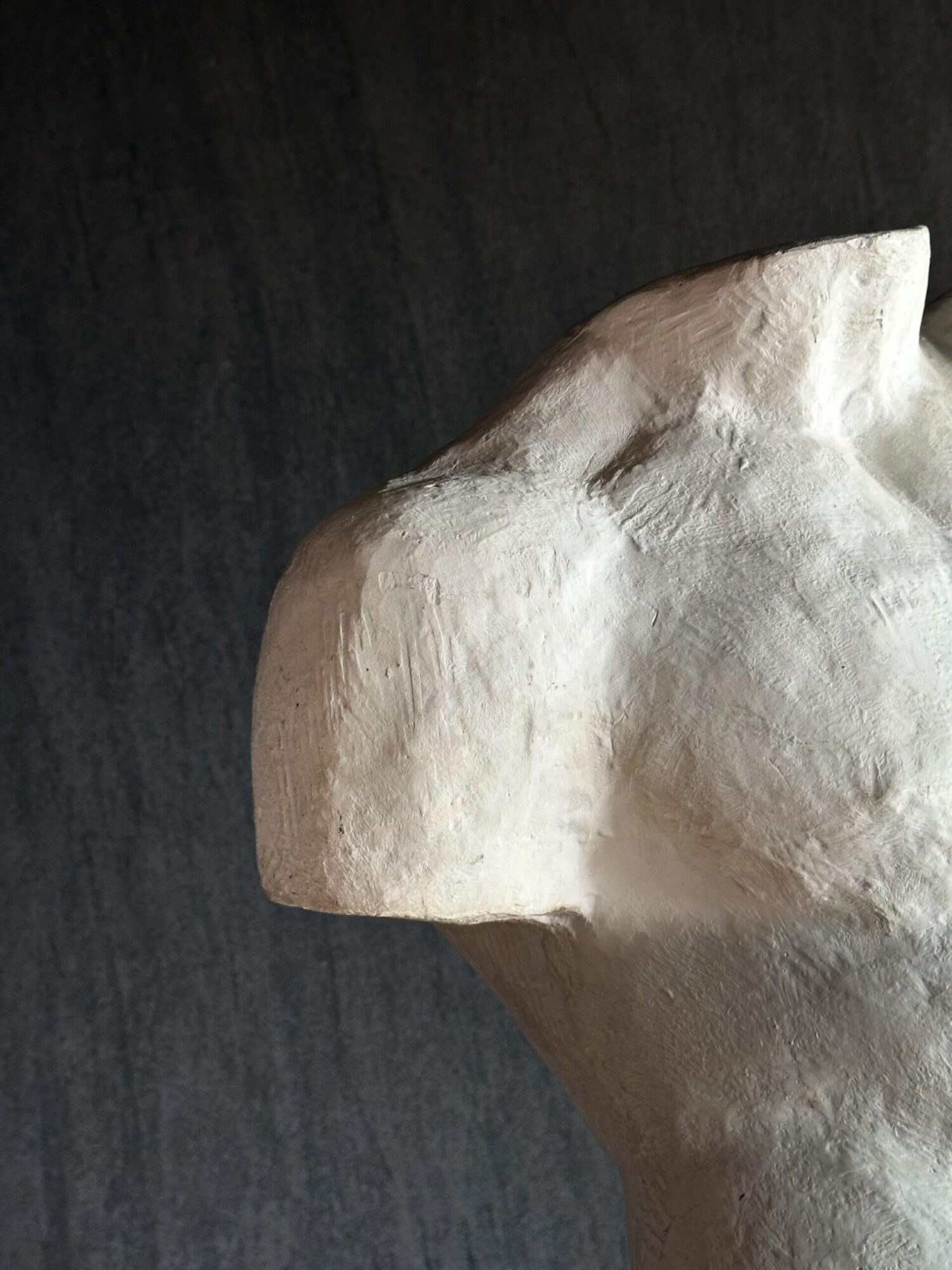 Erkek Tors - Görsel 2