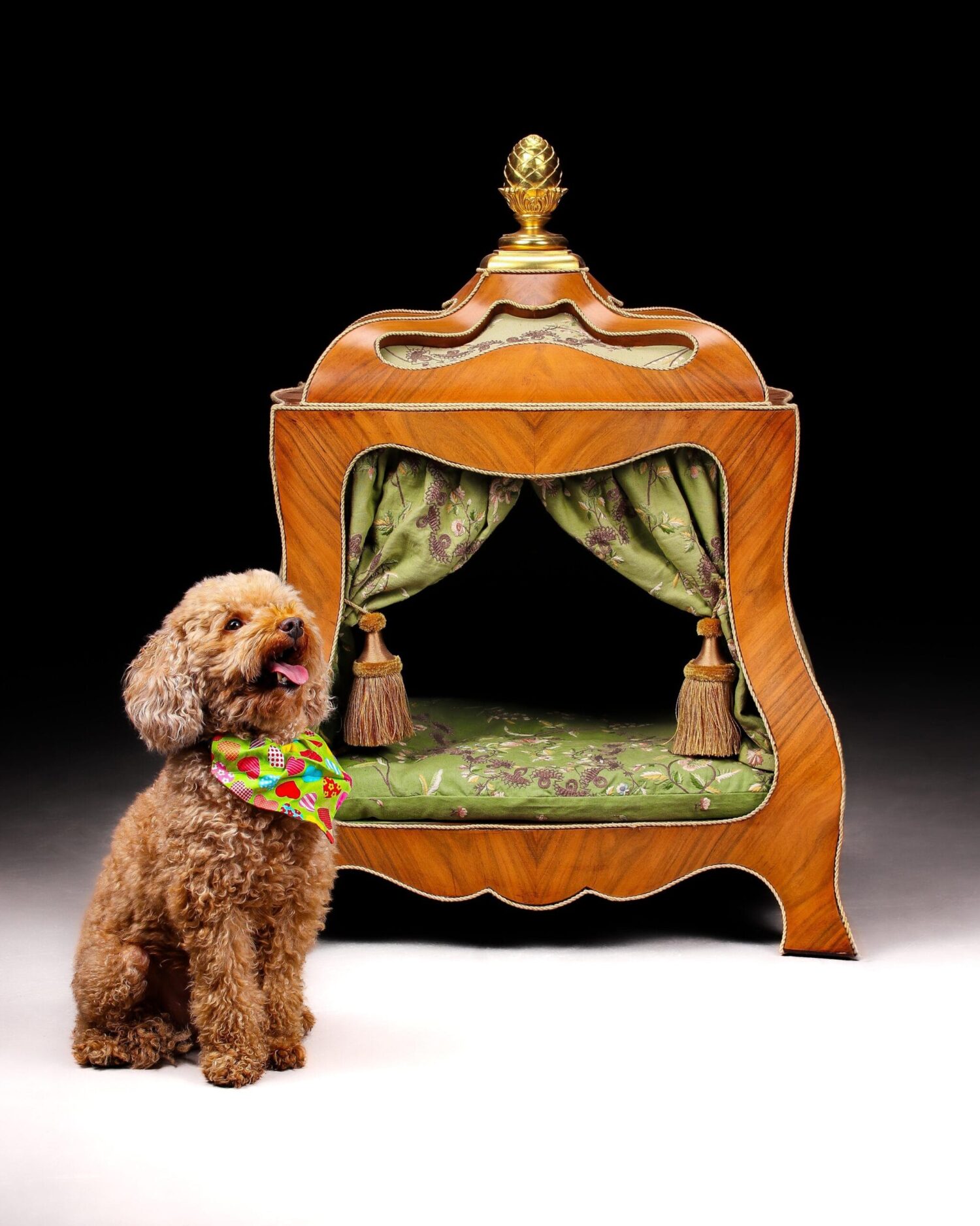 Arthur Brett - Louis XV Pet Pavilion - Görsel 1