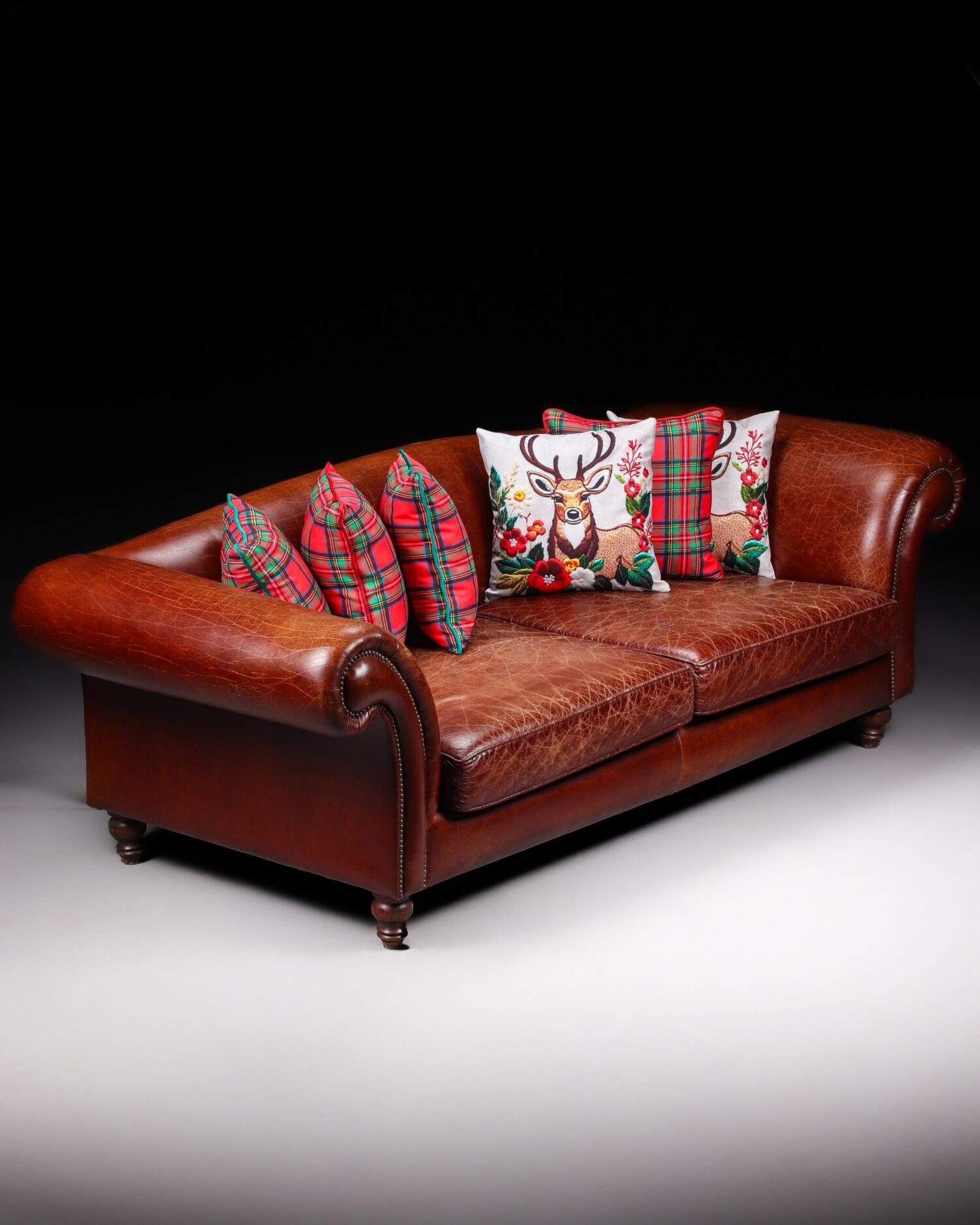 Büyük Deri Kanepe - Görsel 7