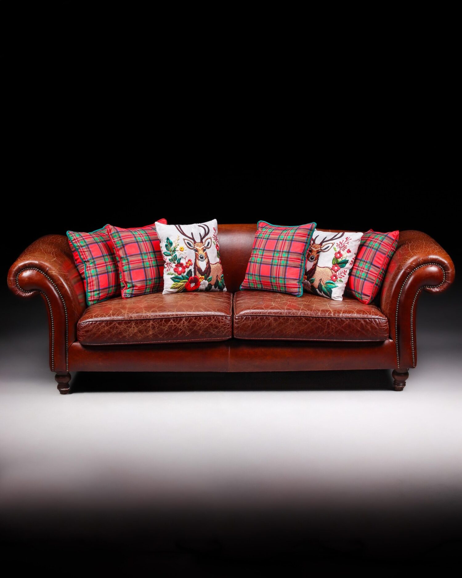 Büyük Deri Kanepe - Görsel 2