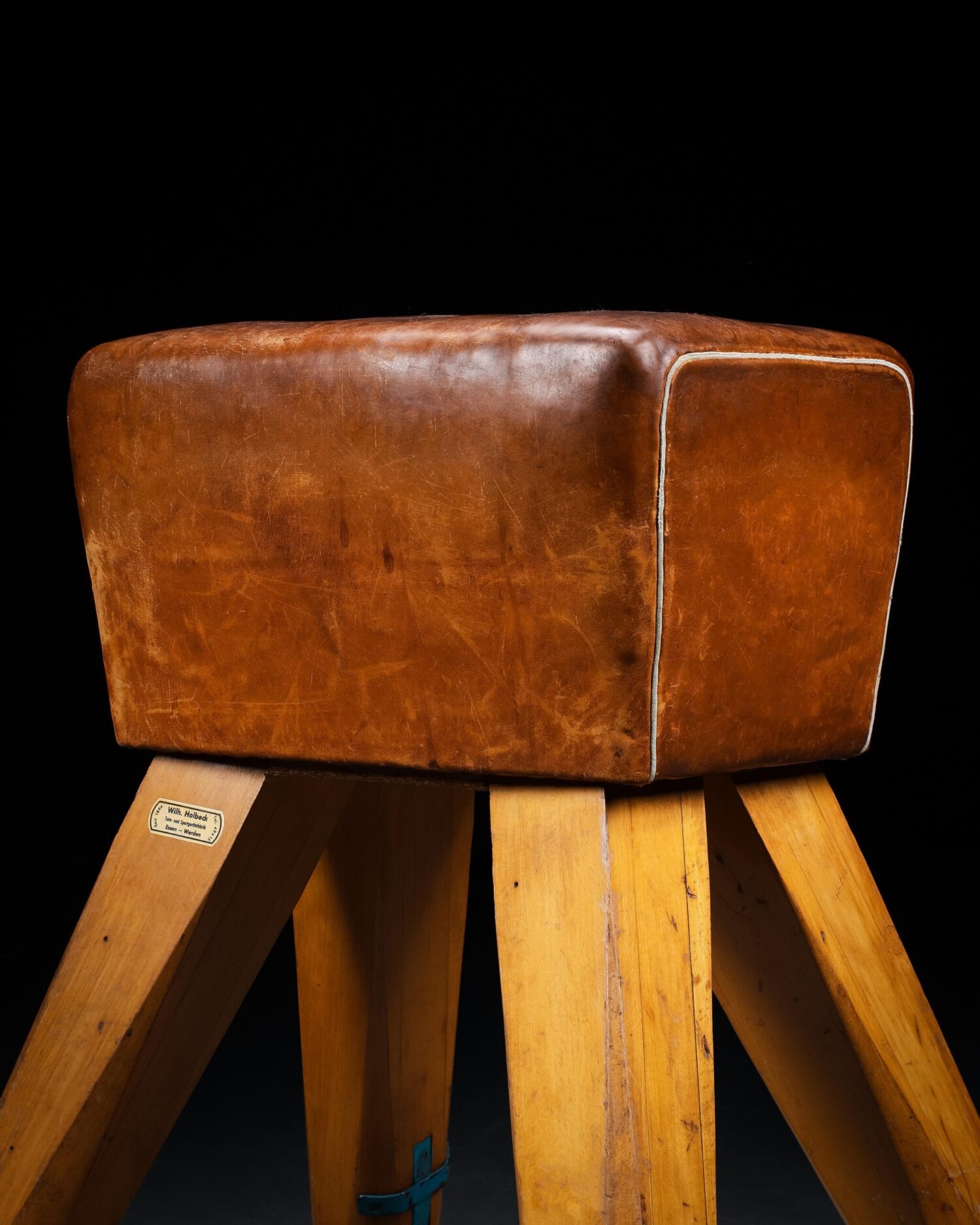 Vintage Atlama Beygiri - Görsel 2