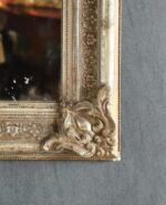 Fransız Ayna - Görsel 2