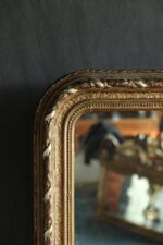 Fransız Ayna - Görsel 2