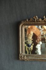 Fransız Ayna - Görsel 2