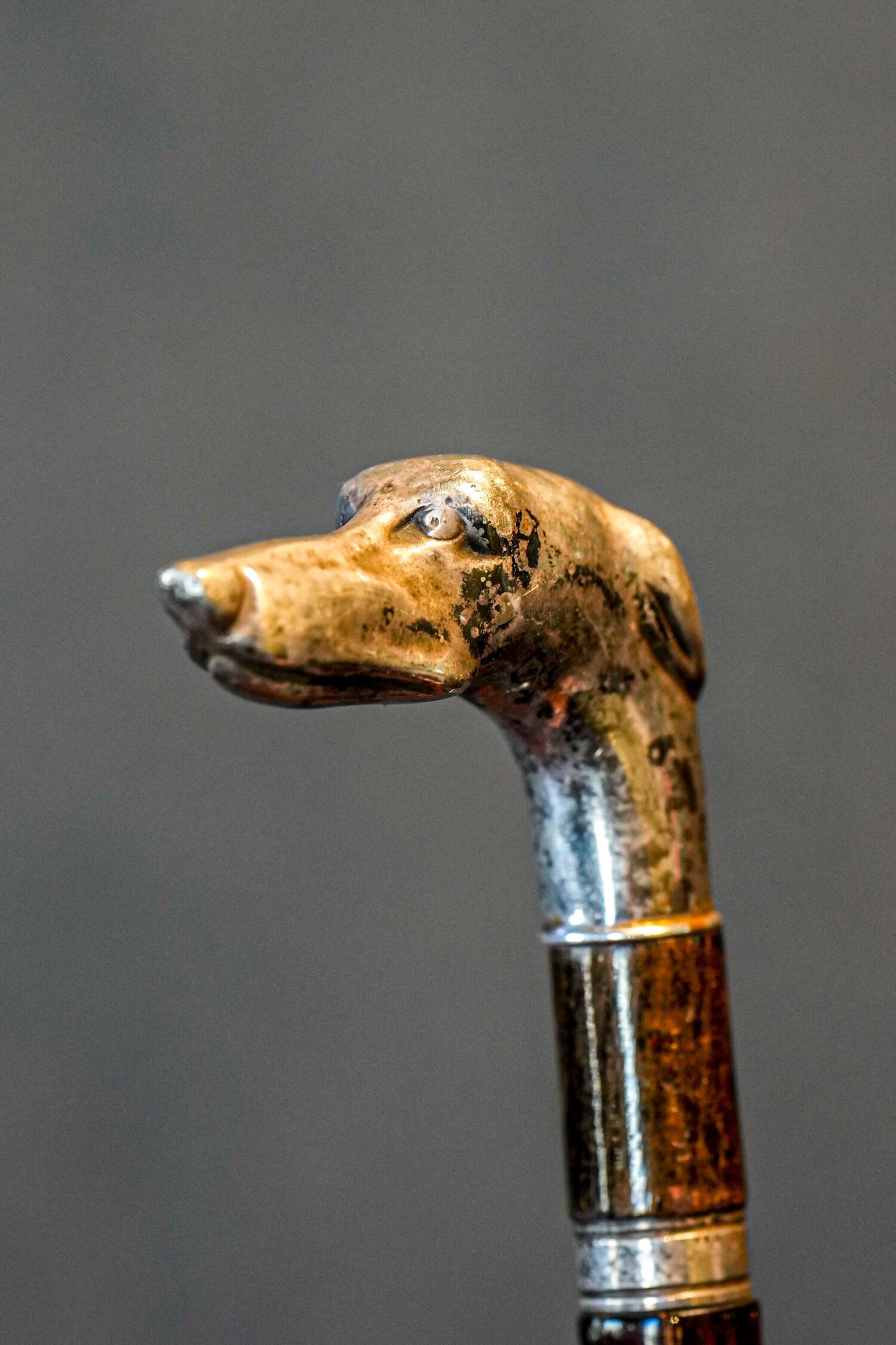 Gümüş Tazı Başlı Kılıç Baston - Görsel 1