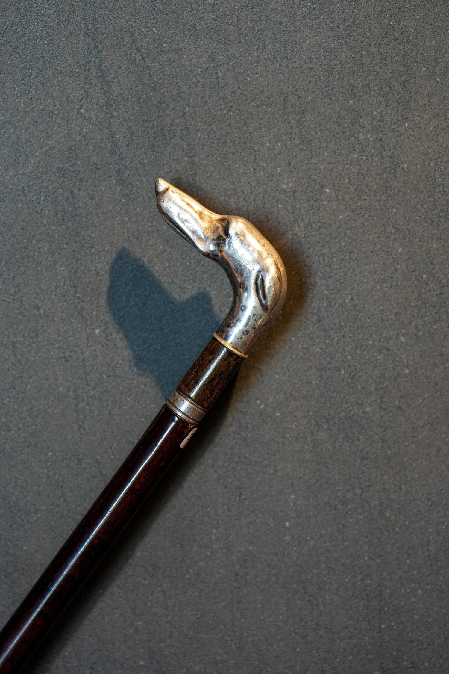 Gümüş Tazı Başlı Kılıç Baston - Görsel 4