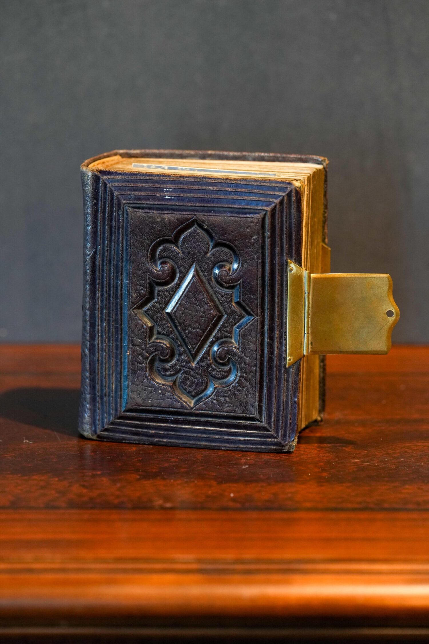 Antika Fotoğraf Albümü - Görsel 1