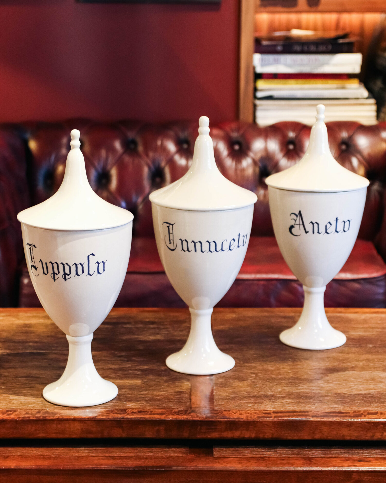 Vintage Porselen Eczane Kapları Seti - Görsel 4