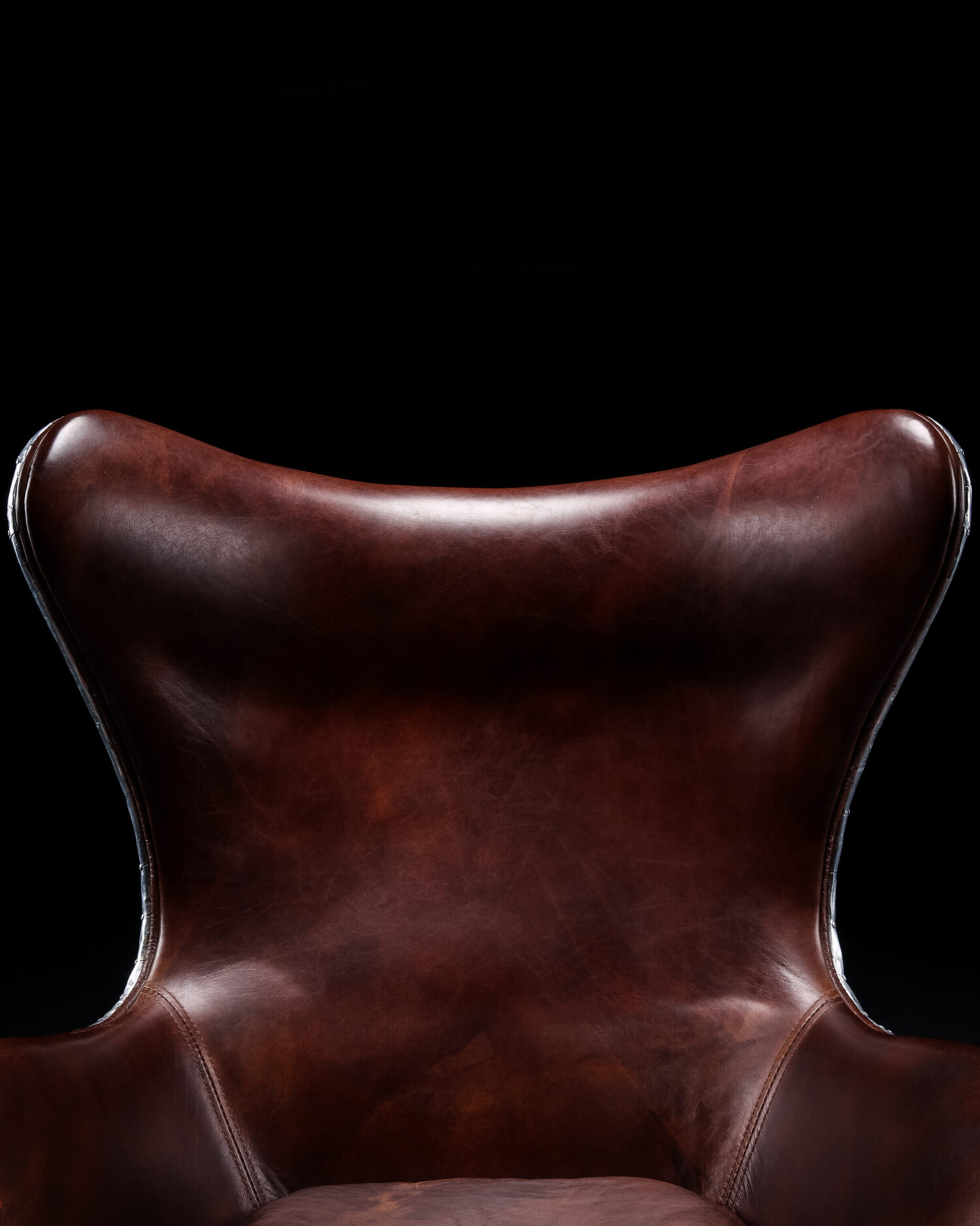 Aviator Egg Chair - Görsel 3