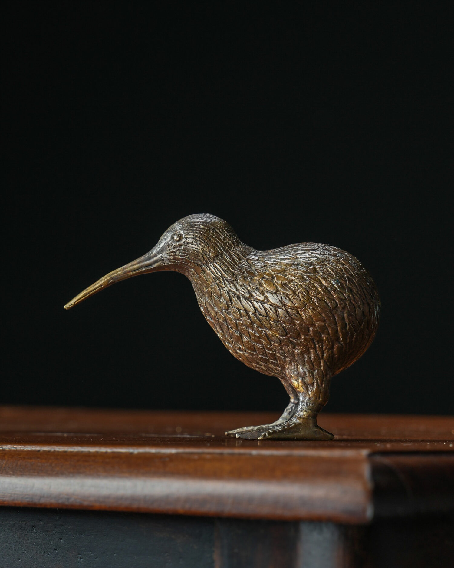 Kiwi Kuşu Heykeli - Görsel 1