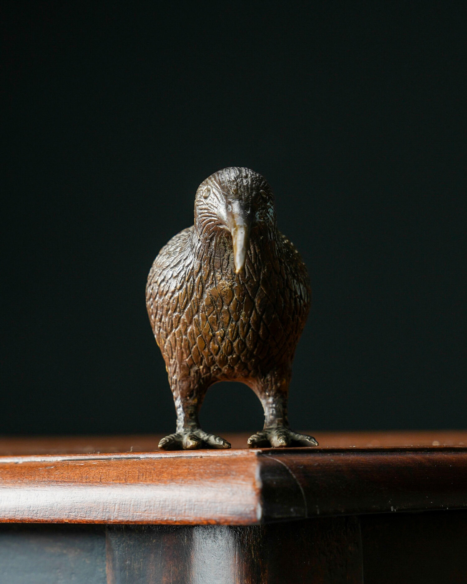 Kiwi Kuşu Heykeli - Görsel 3