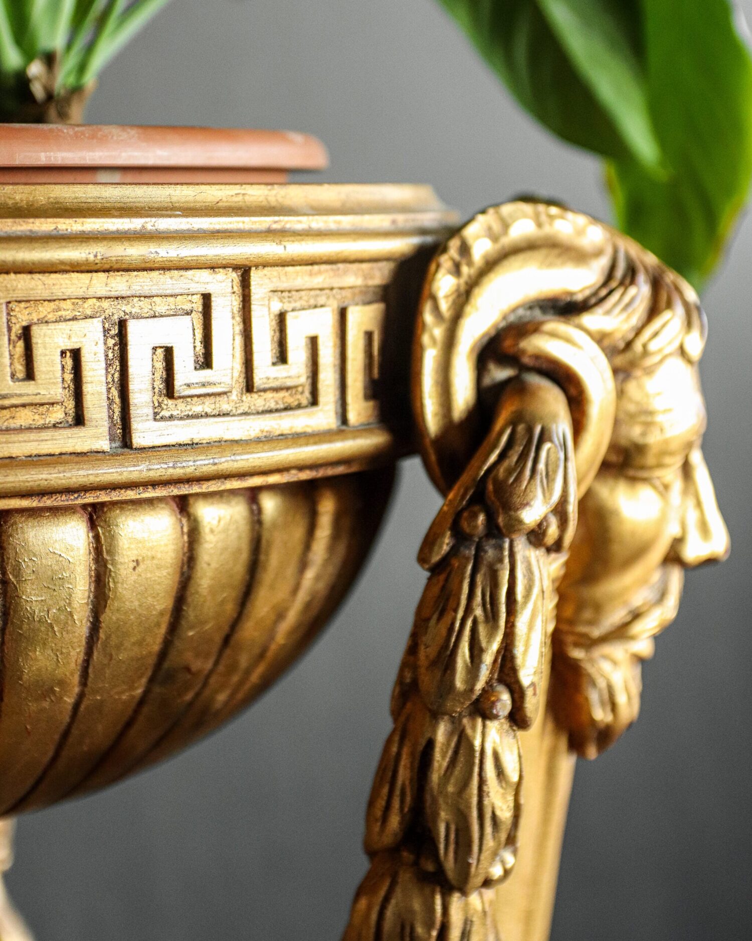 Chelini İtalyan Çiçeklik - Görsel 8