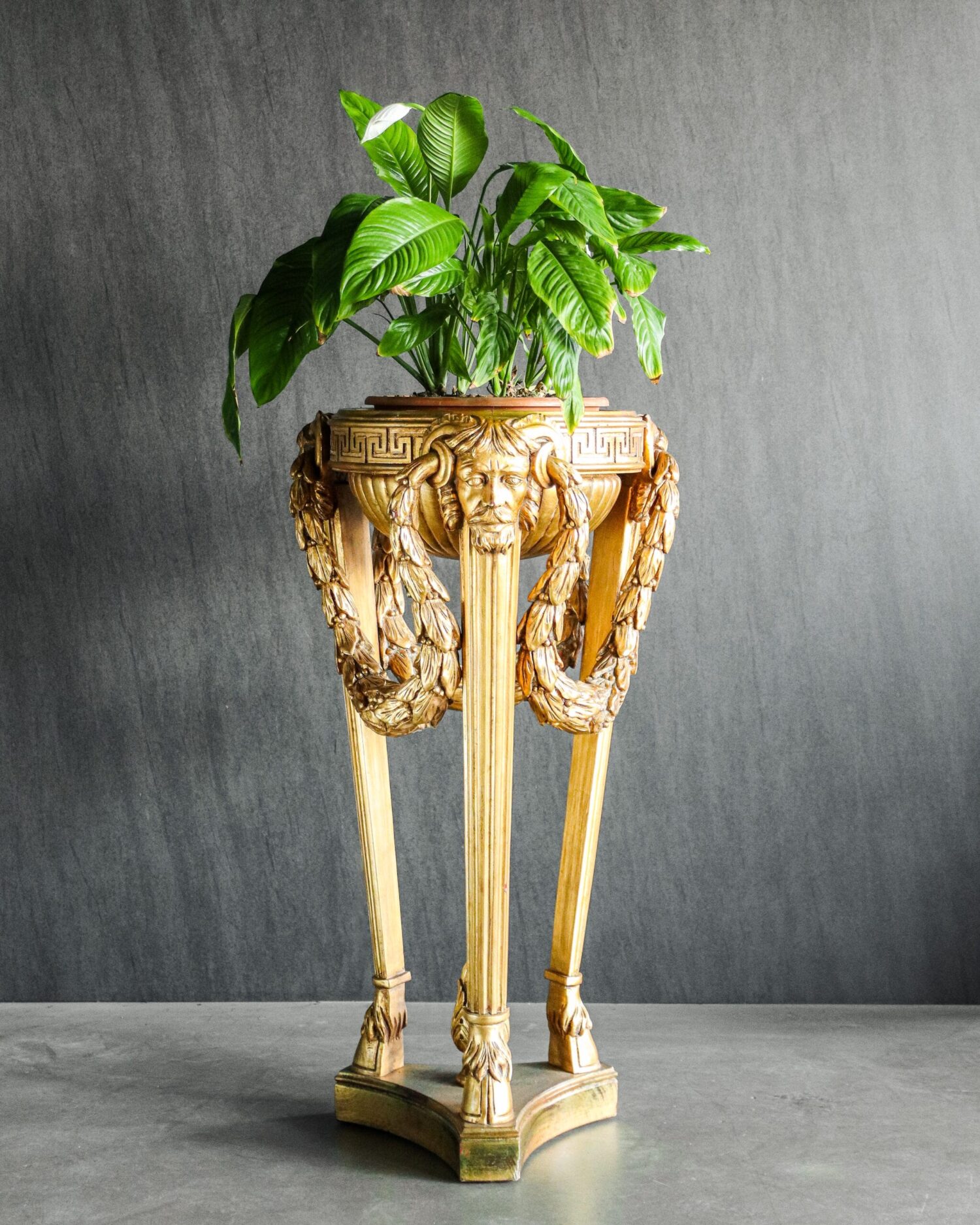 Chelini İtalyan Çiçeklik - Görsel 6