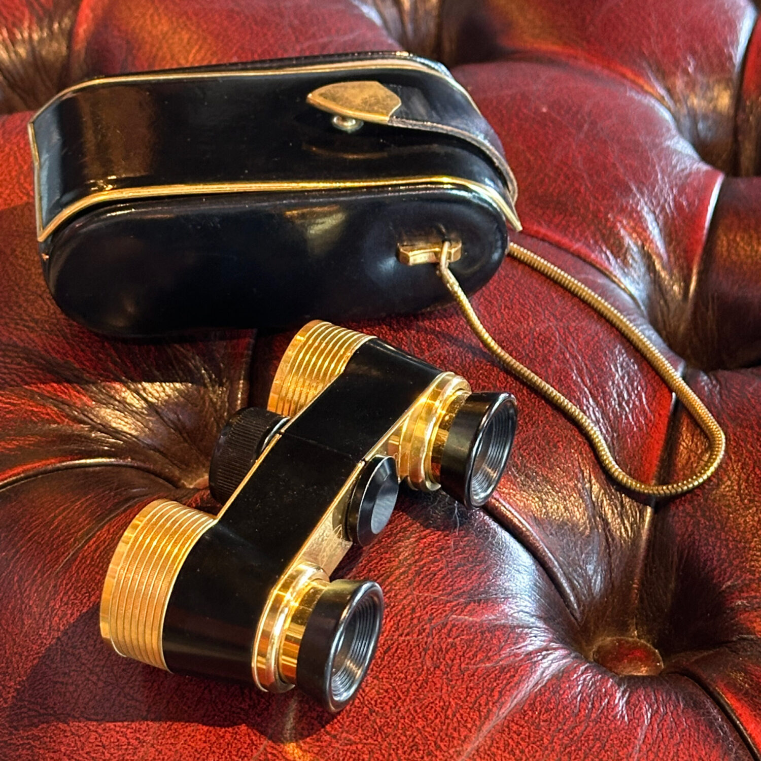 Vintage Carl Zeiss Diadem Opera Dürbünü - 1960 - Görsel 3