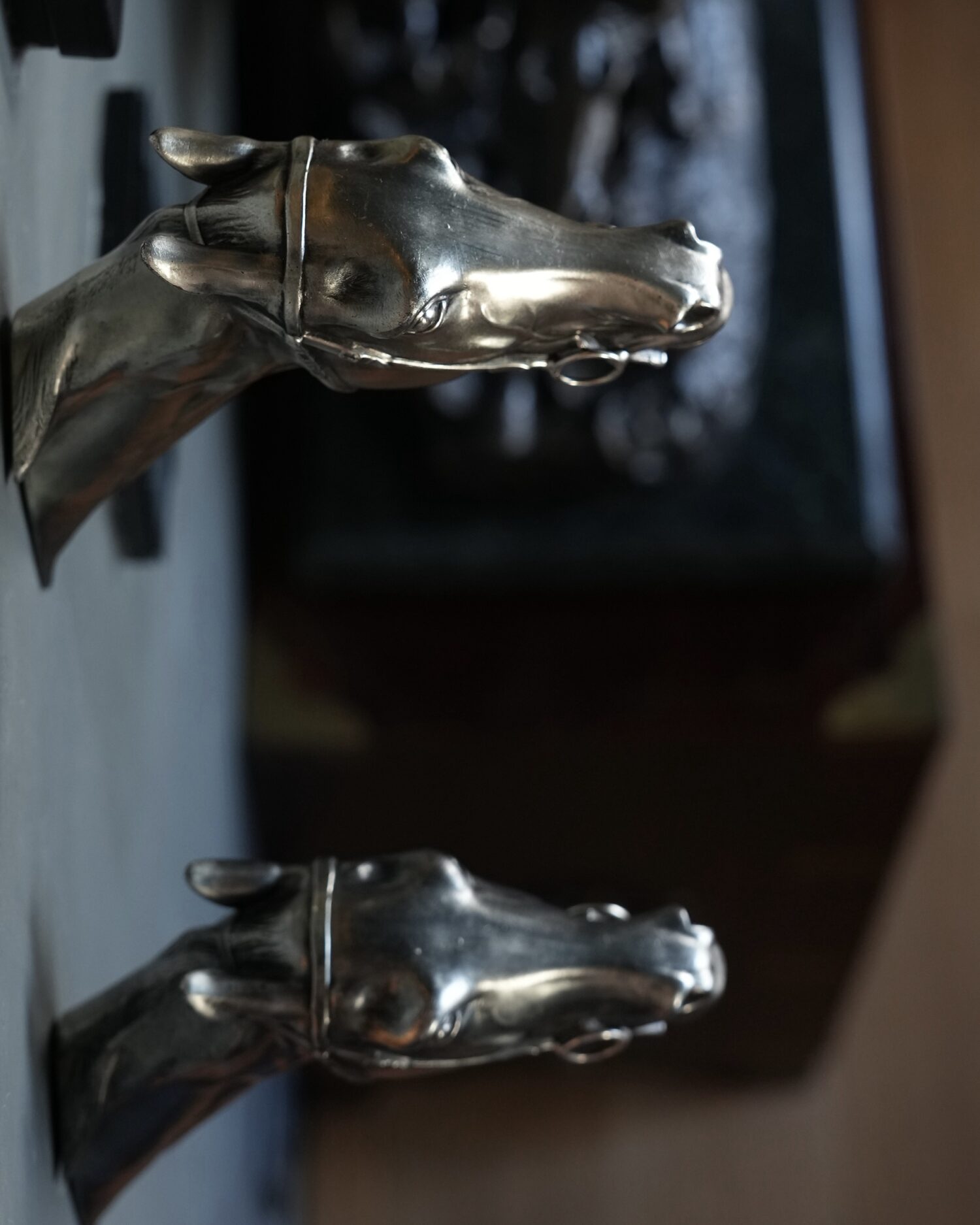 At Başlı Metal Duvar Askıları - Görsel 3