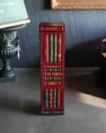 Kitaplık Görünümlü İnce Dolap