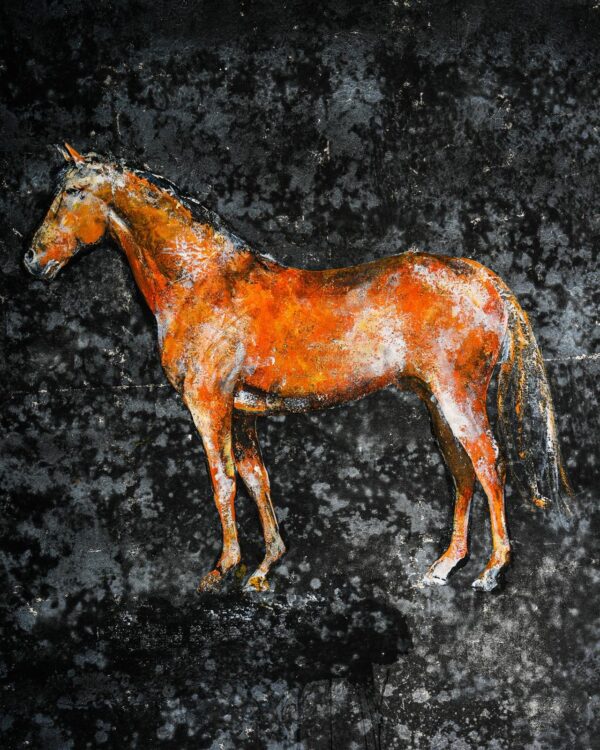 Cavallino - Claudio Missagia - Kod 4035