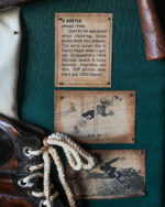 "History of Soccer" Duvar Panosu - Kod 4250