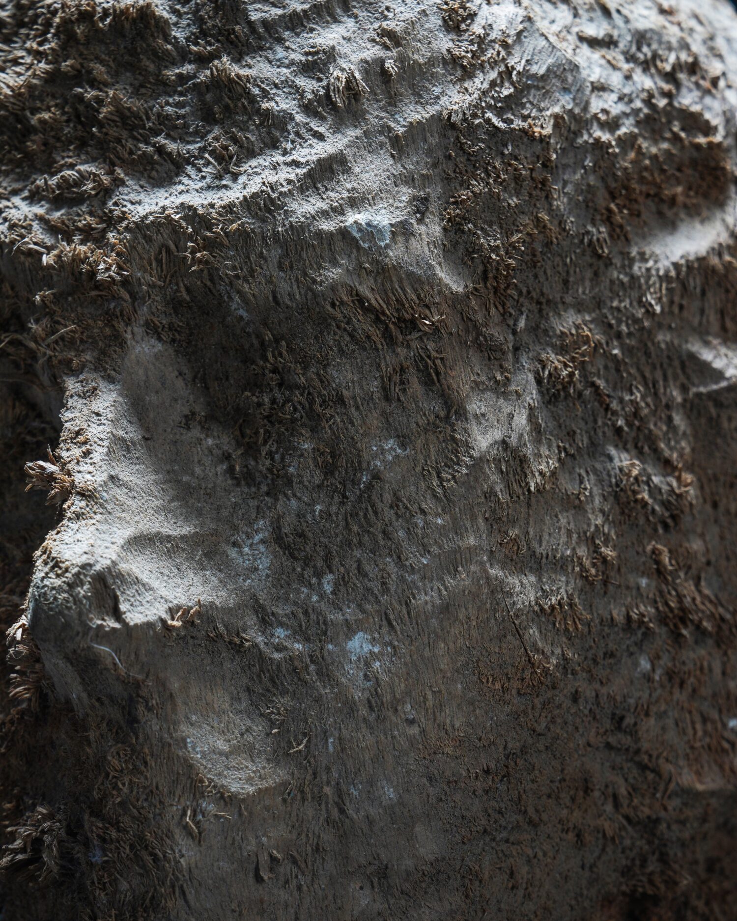 "Non-finito" Ahşap Büst - Görsel 6