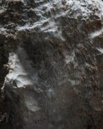 "Non-finito" Ahşap Büst - Görsel 6