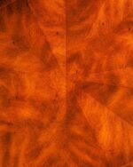 Theodore Alexander Maun Orta Sehpa - Görsel 5