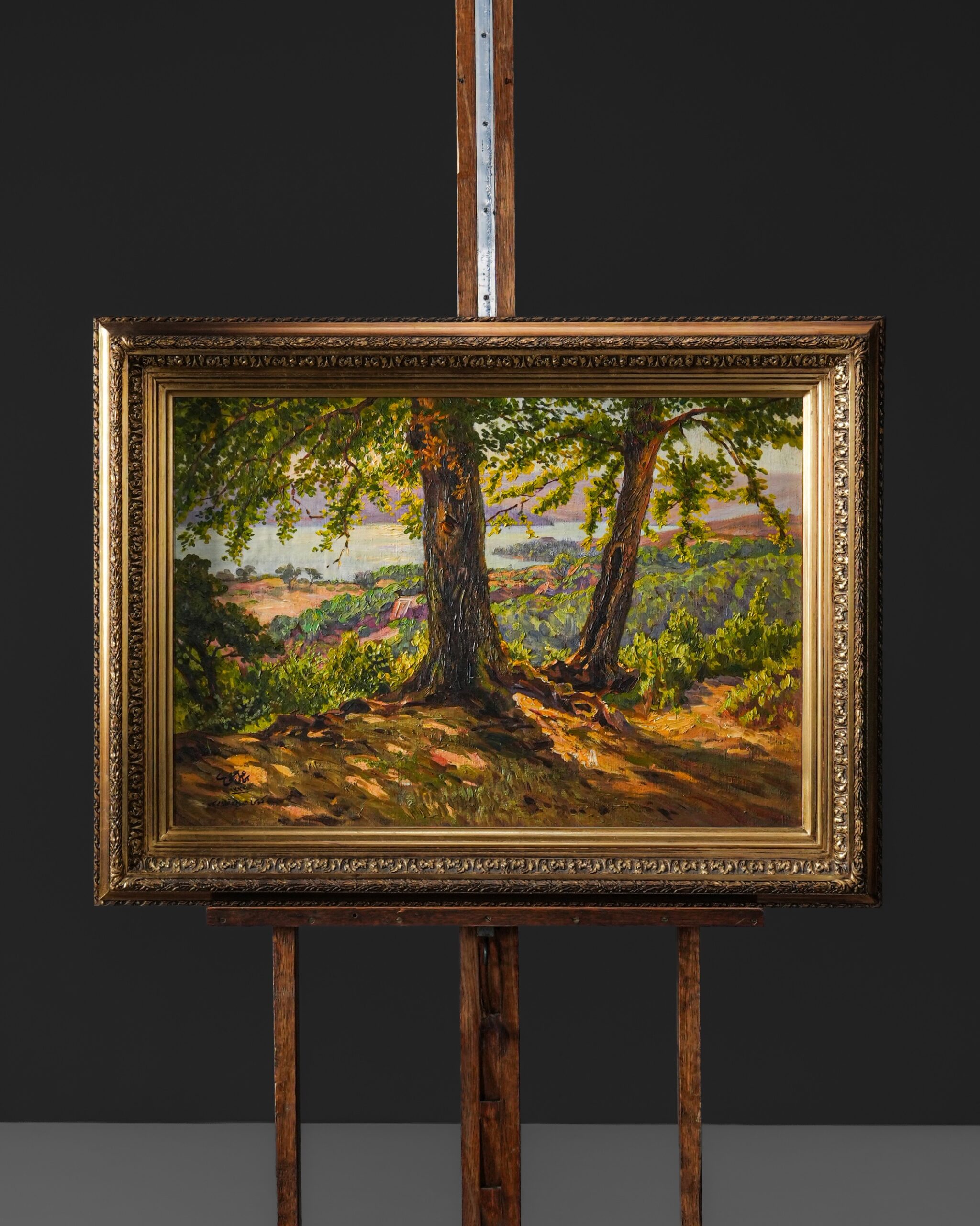 Anasayfa &bull; img 6241 scaled