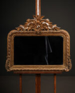 Yüksek Taçlı Kuş Motifli Fransız Ayna