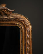 Yüksek Taçlı Kuş Motifli Fransız Ayna - Görsel 3