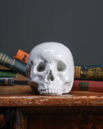 Seramik Kurukafa - Görsel 2