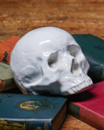 Seramik Kurukafa - Görsel 3