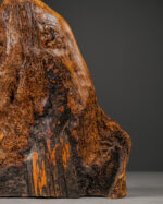 Doğal Formlu Ahşap Mantar - Görsel 5