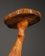 Doğal Formlu Ahşap Mantar - Görsel 4