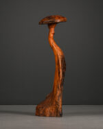 Doğal Formlu Ahşap Mantar - Görsel 2