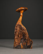 Doğal Formlu Ahşap Mantar - Görsel 3