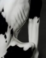 "Harlequin Great Dane" Porselen Heykel, İtalya, 1980'ler - Görsel 6