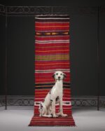 Çizgili Yolluk Kilim